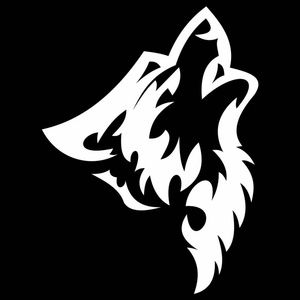 Meet the Poshmark User